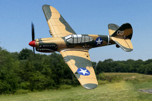 Curtiss P-40 Warhawk Micro RTF Airplane