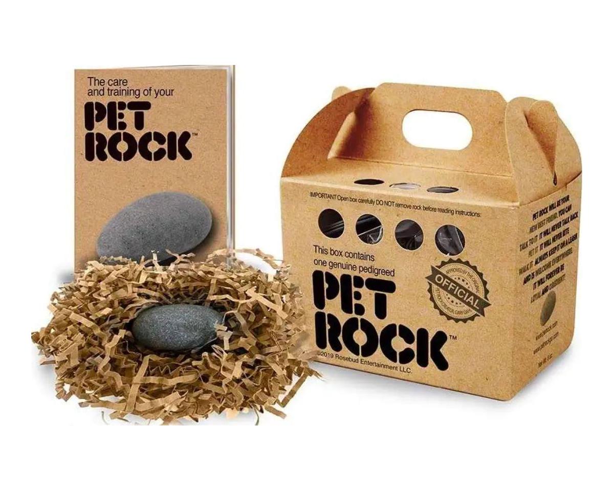 Classic Pet Rock Toy